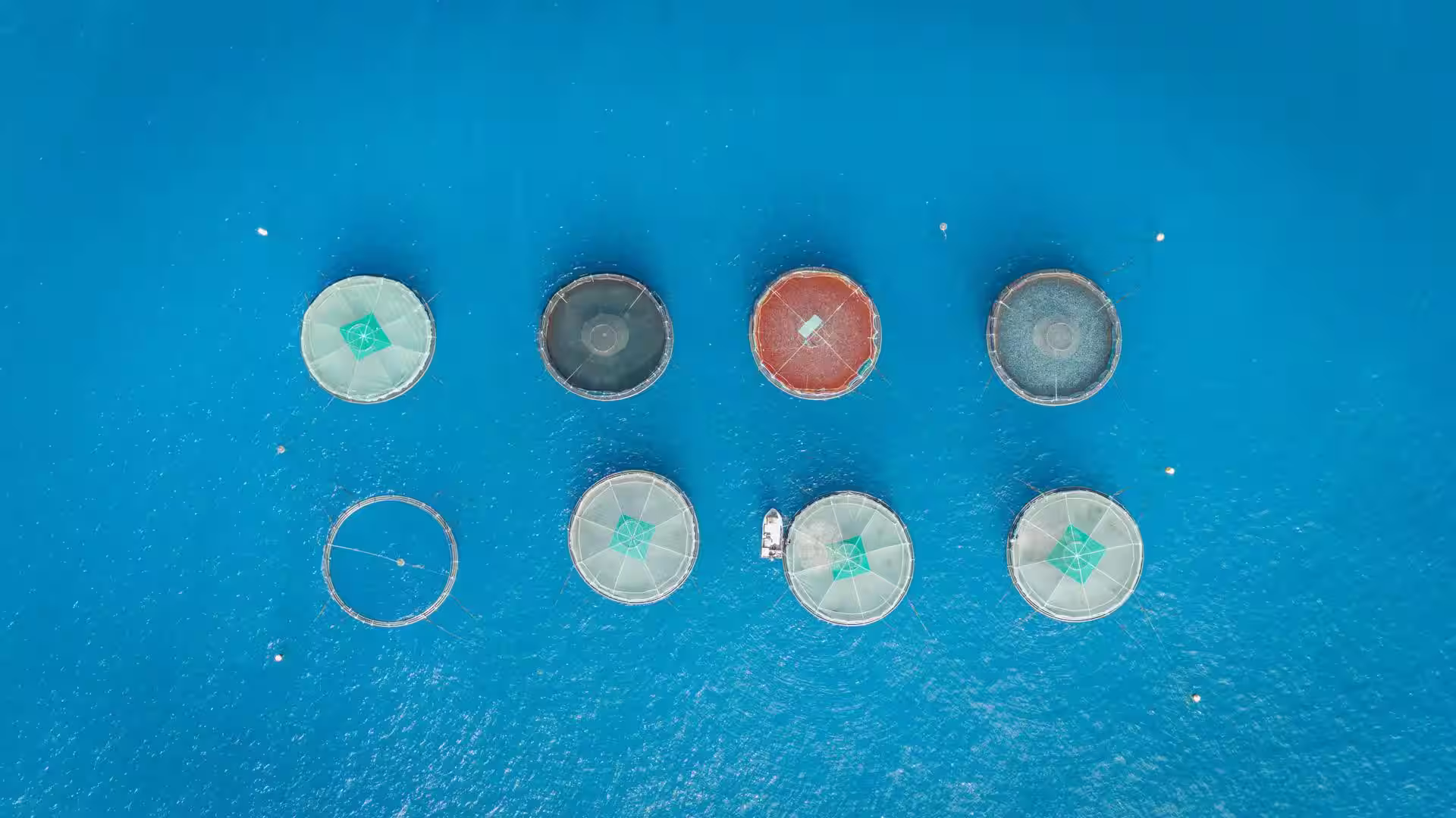 مزرعه پرورش ماهی در دریا کاسپین ژیک